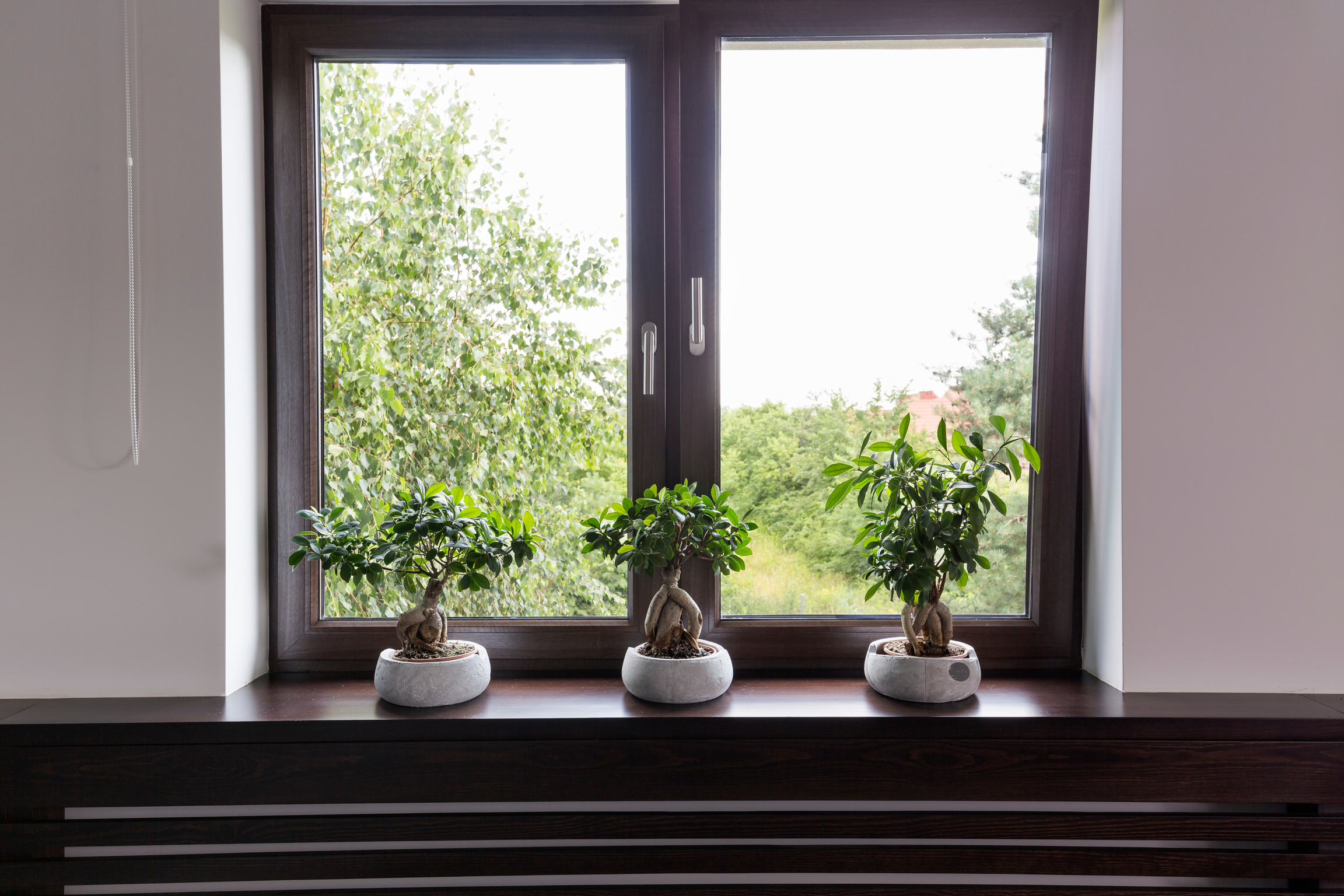 Window decor with plants idea